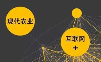 黑龙江省 互联网 农业 高标准示范基地达1458个