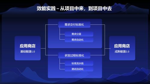 vivo 互联网研发效能关键技术与实践