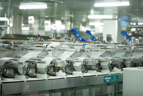 赋能绿色棉花产业 全棉时代副总裁刘华的技术驱动与生态守护